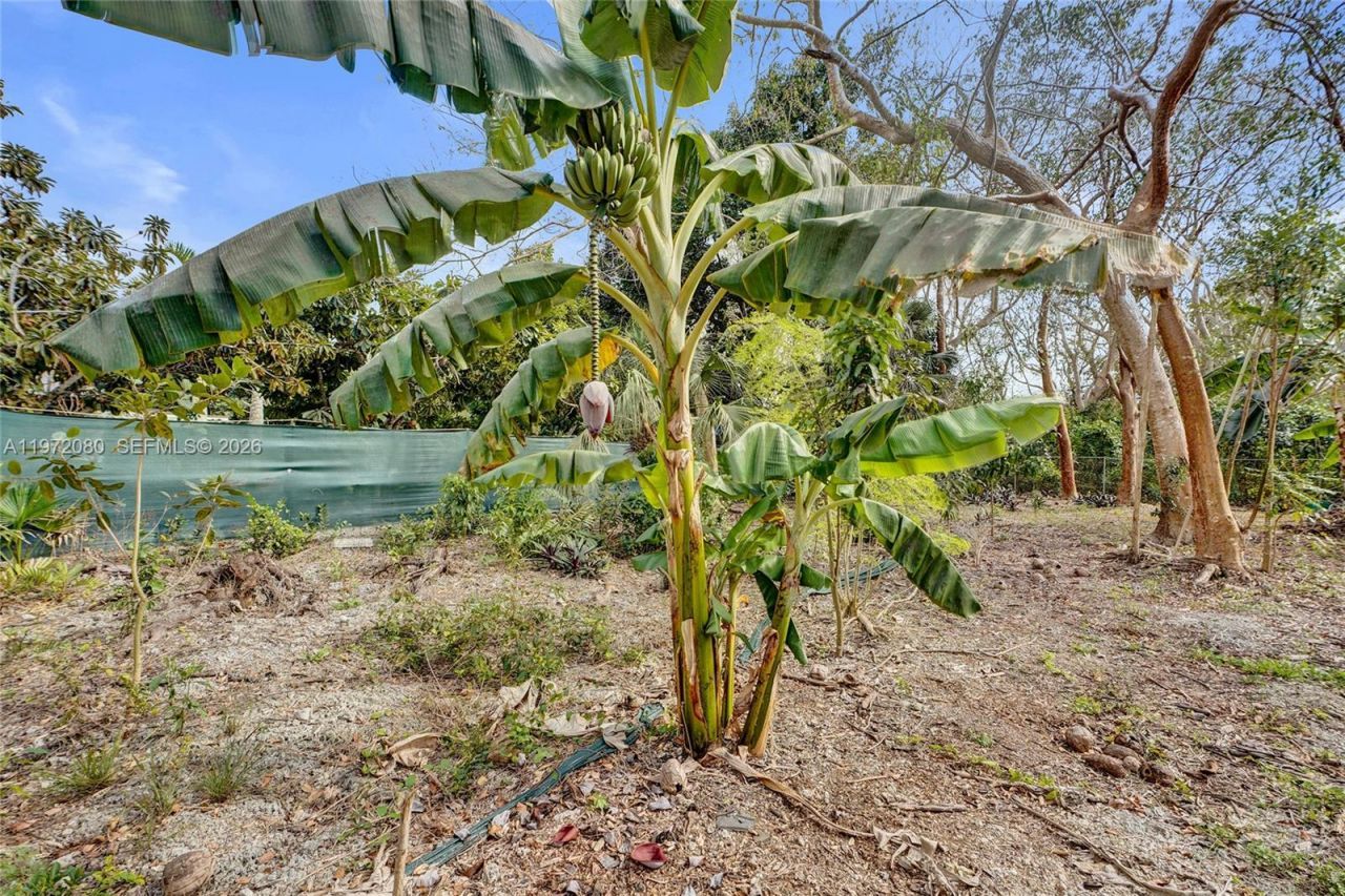 17150 SW 264th St , Miami, FL 33031 Photo