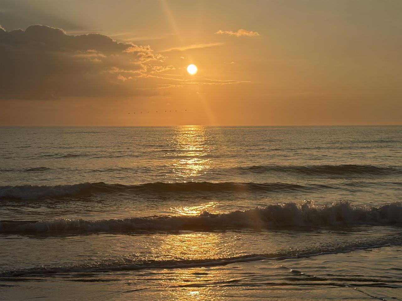 14290 Ocean Hwy. Photo 24