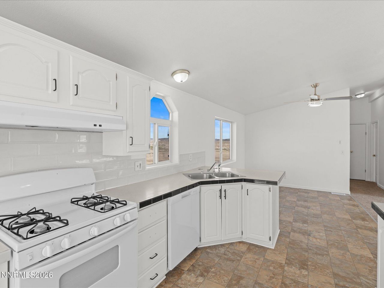 1640 W Fir Avenue, Silver Springs, NV 89429 Photo