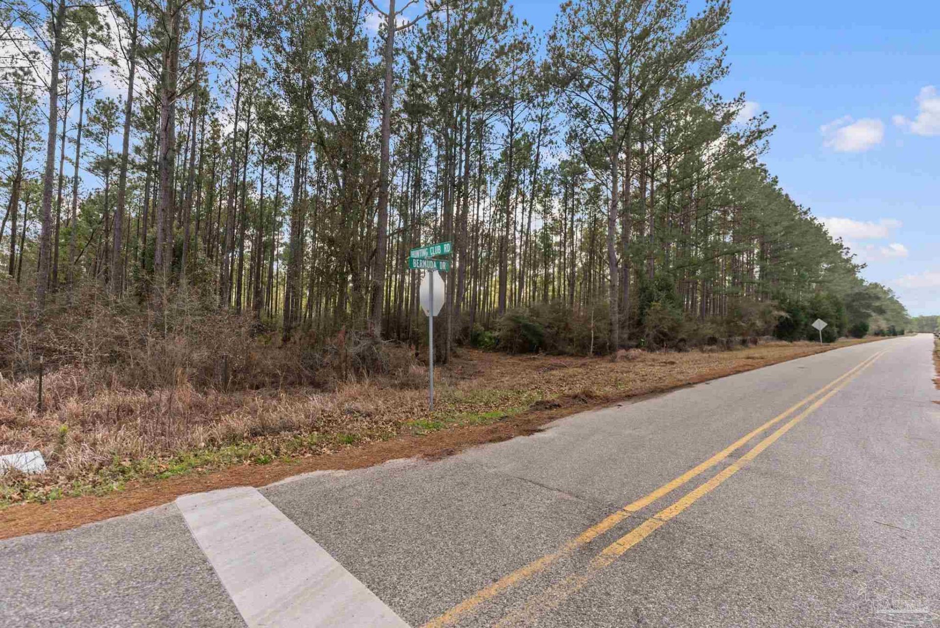 Lot #1 Bermuda Ln, Seminole, AL 36574 Main Photo