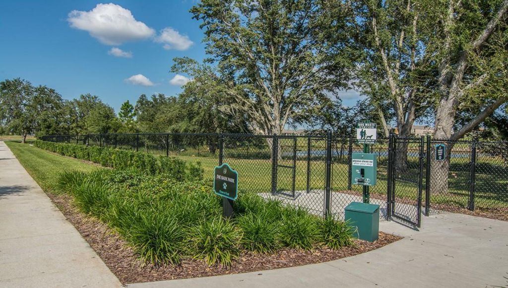 16232 Rock Coast Drive, Winter Garden, FL 34787 Photo