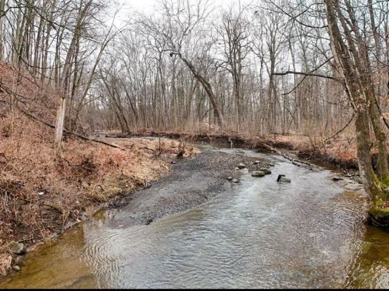 2020 County Road 228, Ashley, OH 43003 Photo 2