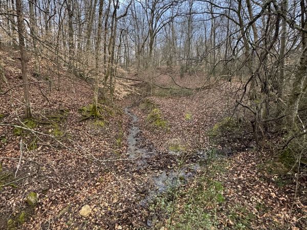 4094 Akin Ridge Rd, Williamsport, TN 38487