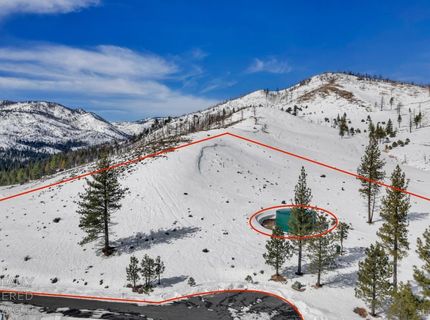 12 Silver Peak, Markleeville, CA 96120 Photo