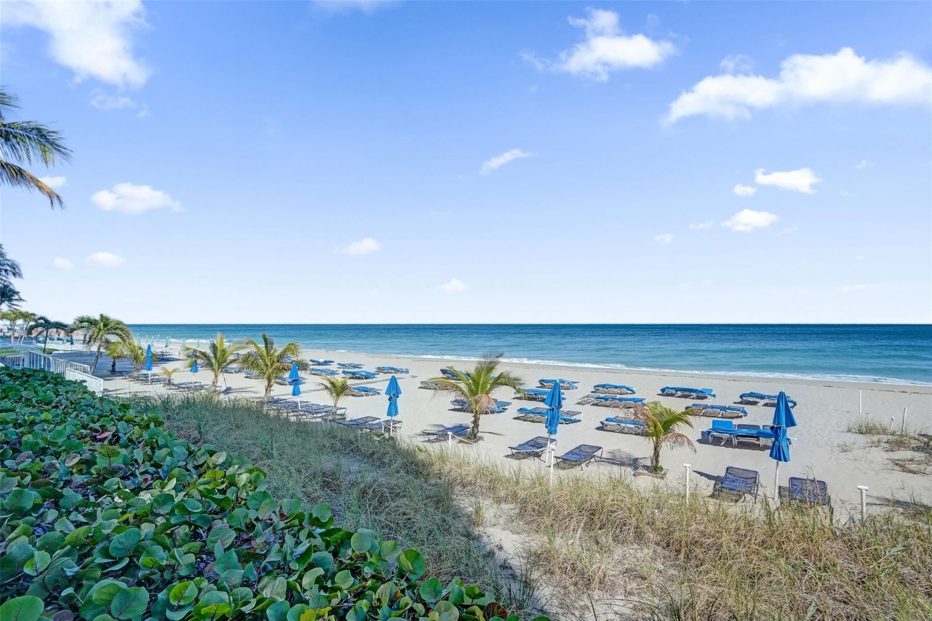 3700 Galt Ocean Dr, Unit 607, Fort Lauderdale, FL 33308 Photo