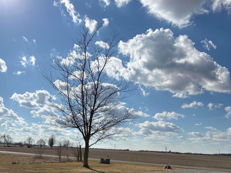 25960 Egypt Pike , New Holland, OH 43145 Photo 40