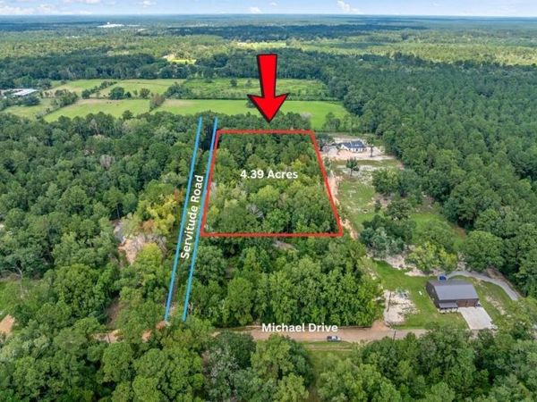 24411 MICHAEL Drive , Ponchatoula, LA 70454