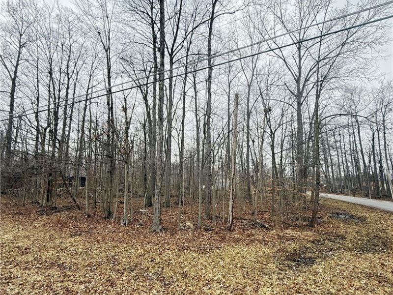 5038 Maderia Drive , West Salem, OH 44287 Photo 4