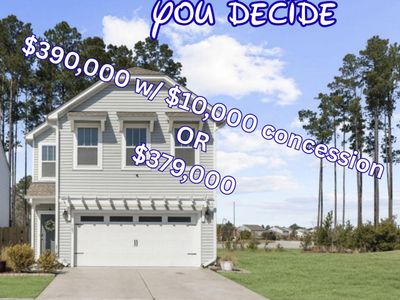 163 Surfbird Road, Summerville, SC 29486