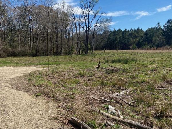 B-1-A-3 Spring House Dr, Greenwell Springs, LA 70739