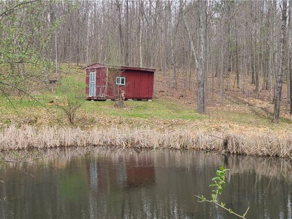 0 Gibson Road, Lindley, NY 14858