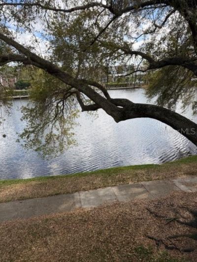 2328 Midtown Terrace , Unit 1026, Orlando, FL 32839 Photo