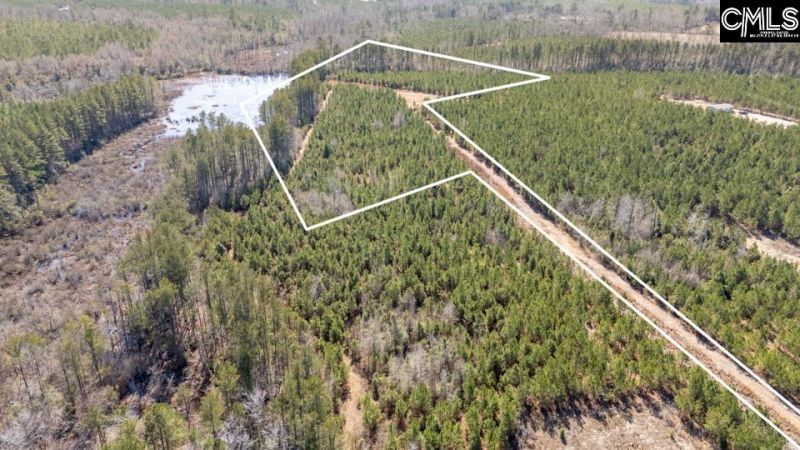 231 Catalina Boulevard Photo 10