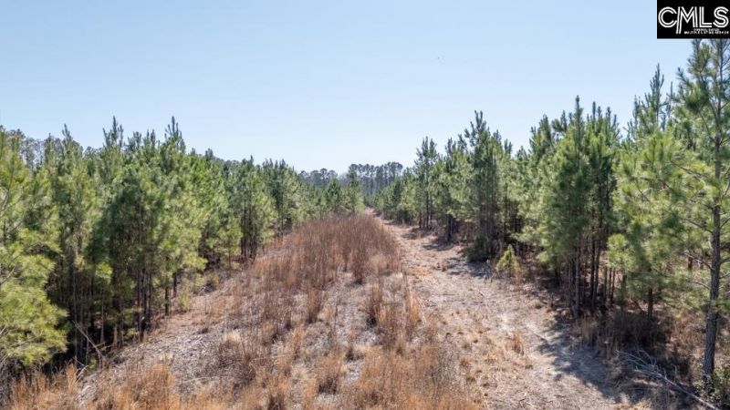 231 Catalina Boulevard Photo 11