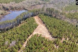 231 Catalina Boulevard photo 4