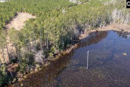 231 Catalina Boulevard photo 4