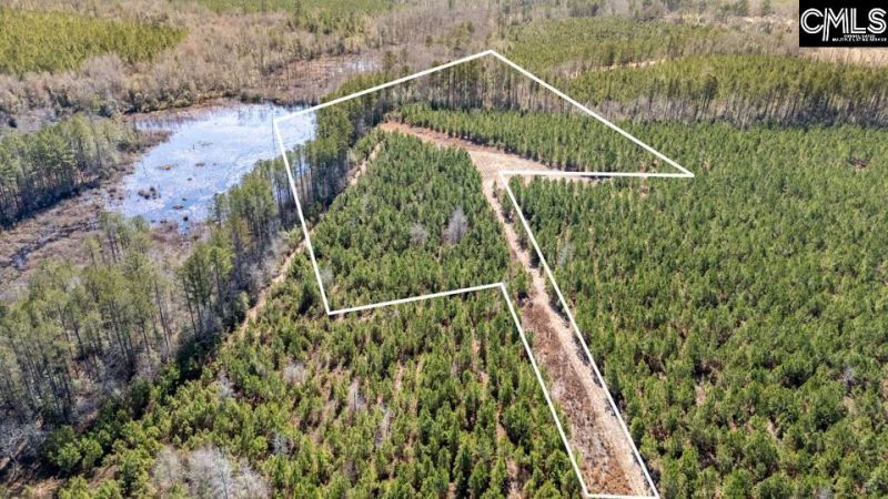 231 Catalina Boulevard Photo 6