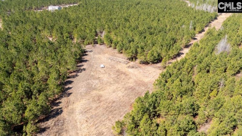 231 Catalina Boulevard Photo 7