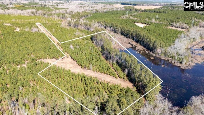 231 Catalina Boulevard Photo 8