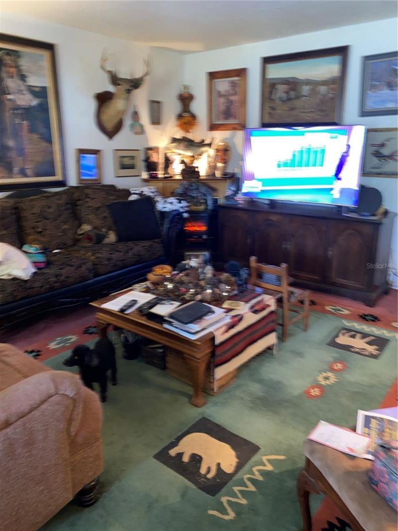 1050 Cr 482d , Lake Panasoffkee, FL 33538 Photo