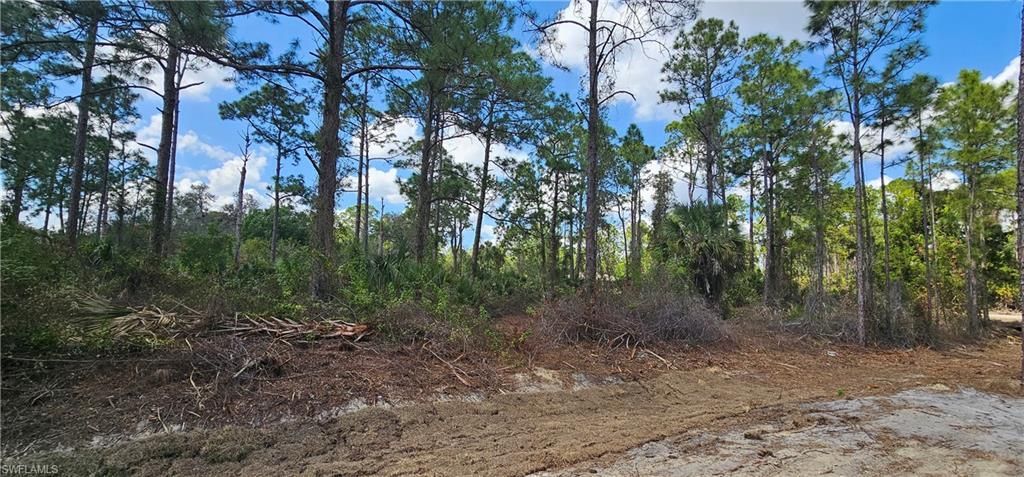 1123 Lincoln Ave , Lehigh Acres, FL 33972 Photo