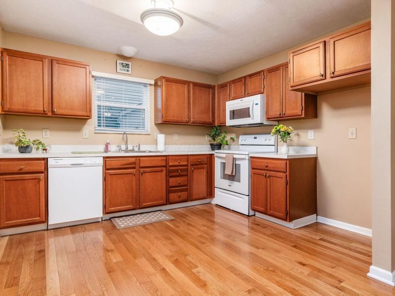 605 Thistle Drive, Delaware, OH 43015 Photo 12