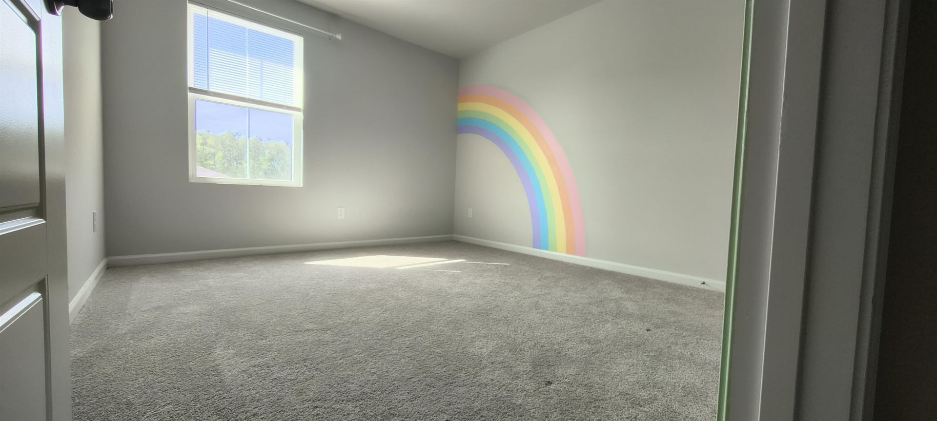 224 Saddle St Photo 44