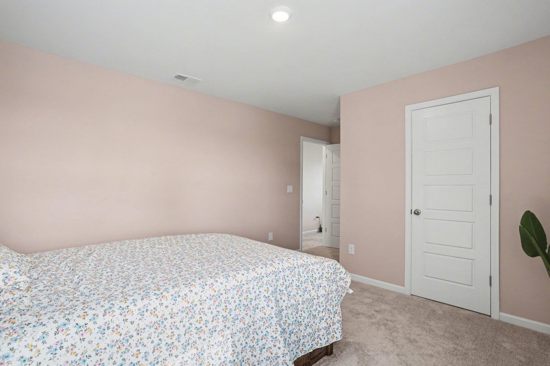 224 Saddle St Photo 51