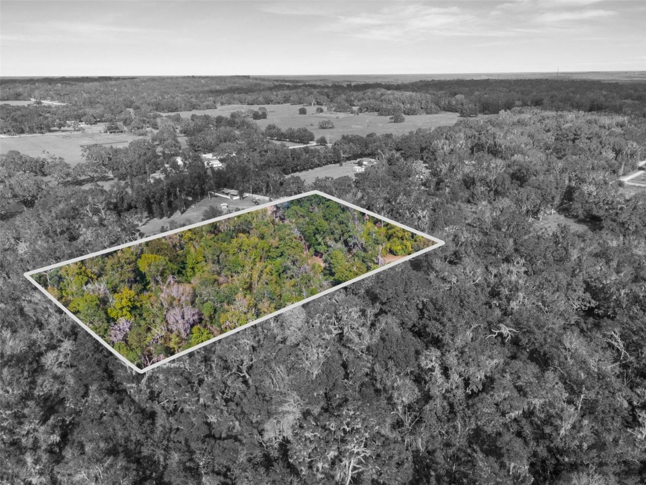 16145 Snow Memorial Highway, Brooksville, FL 34601 Photo