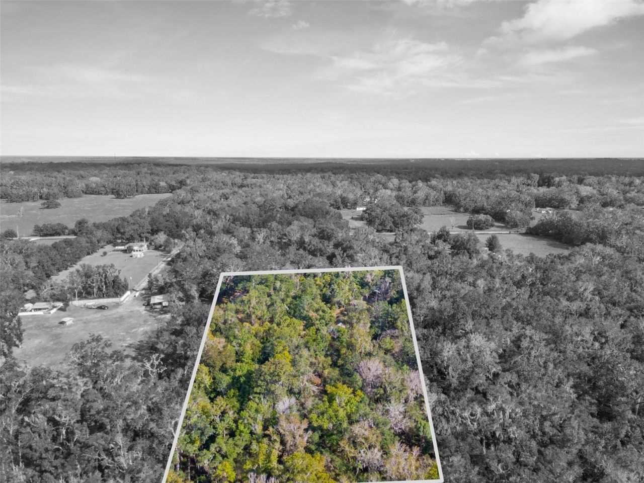 16145 Snow Memorial Highway, Brooksville, FL 34601 Photo