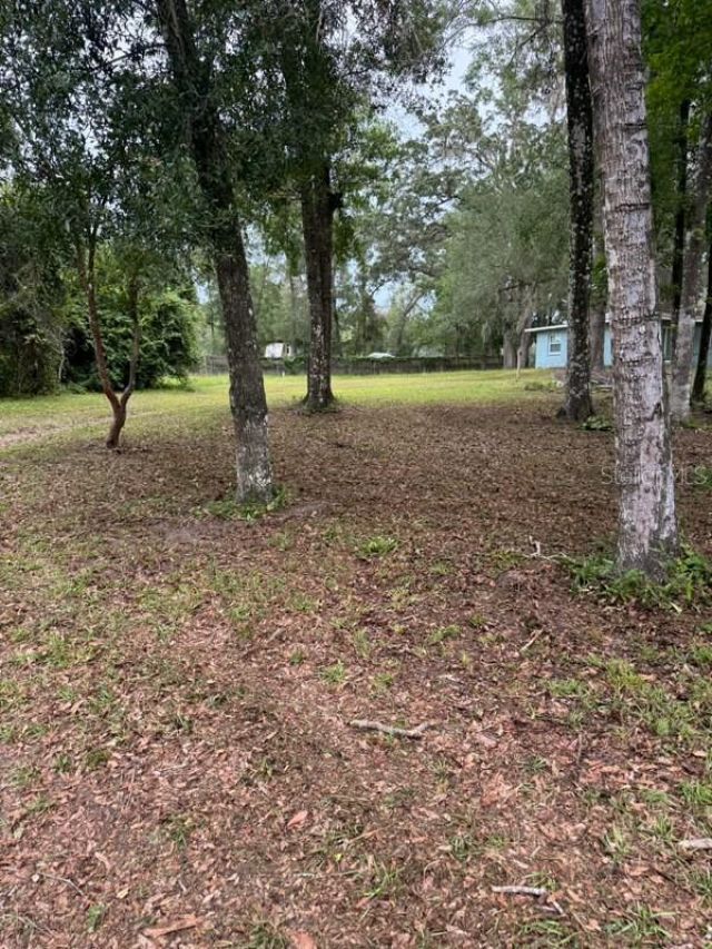 16145 Snow Memorial Highway, Brooksville, FL 34601 Photo