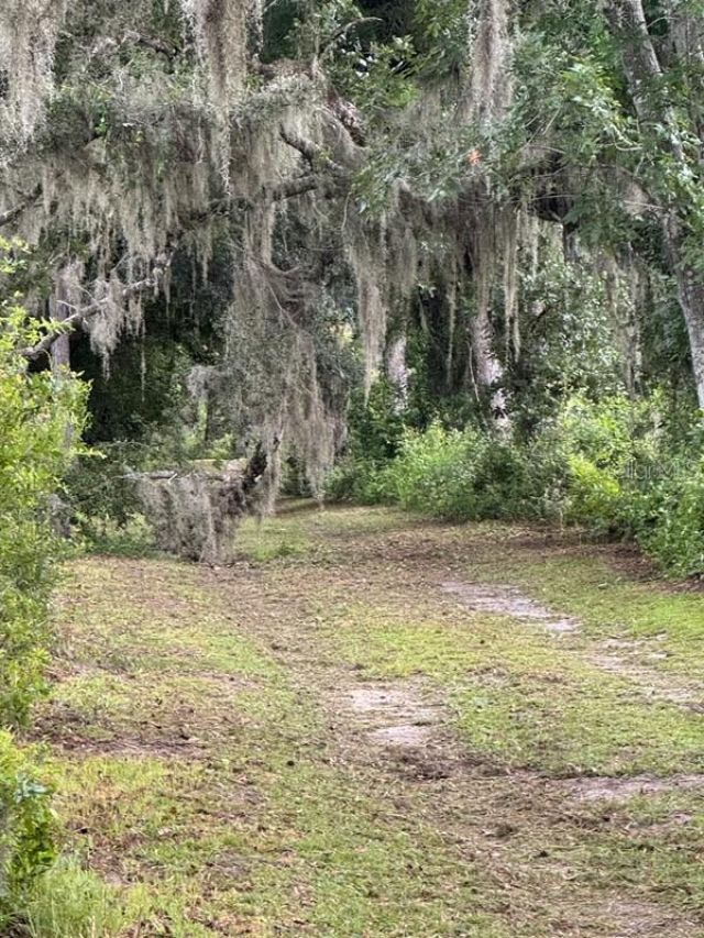16145 Snow Memorial Highway, Brooksville, FL 34601 Photo