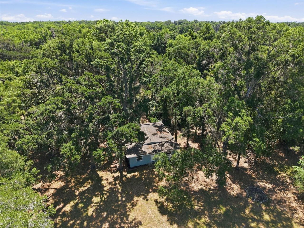 16145 Snow Memorial Highway, Brooksville, FL 34601 Photo
