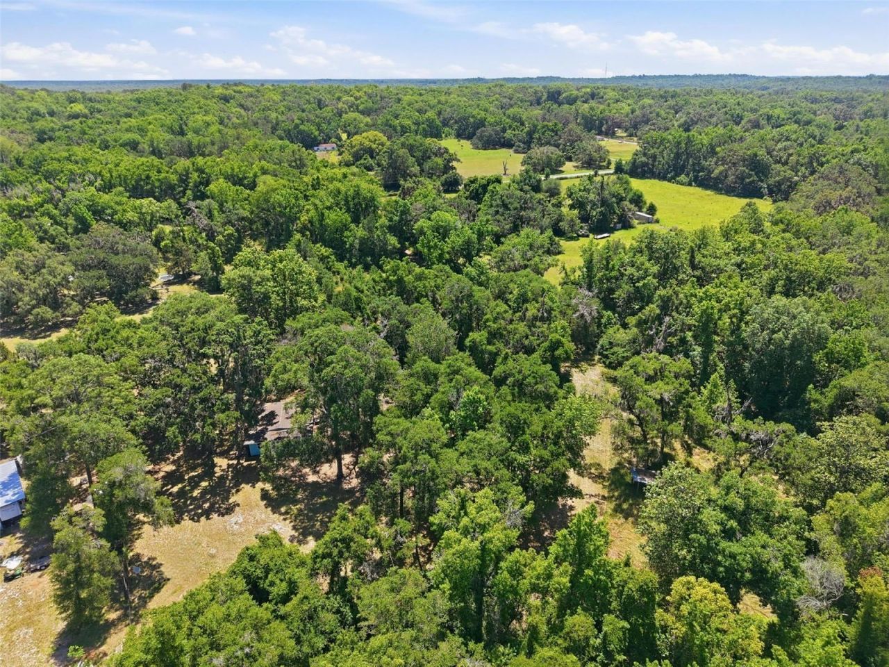 16145 Snow Memorial Highway, Brooksville, FL 34601 Photo