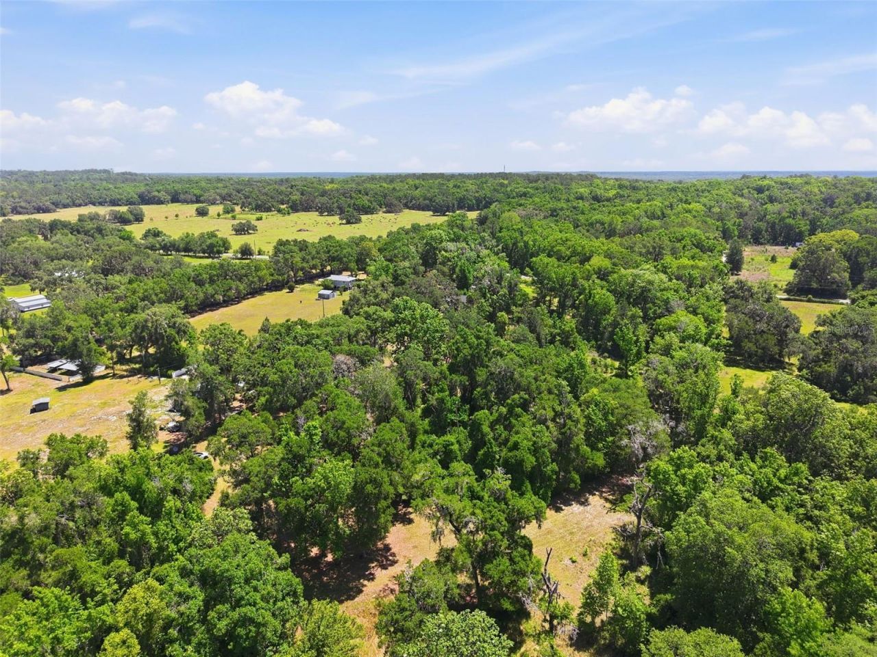 16145 Snow Memorial Highway, Brooksville, FL 34601 Photo