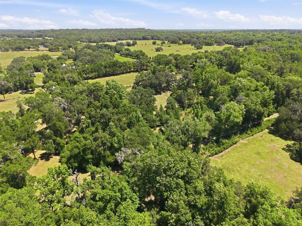 16145 Snow Memorial Highway, Brooksville, FL 34601 Photo