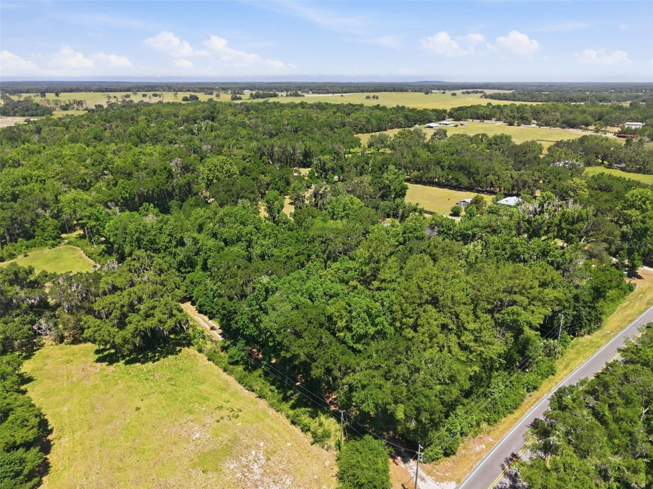 16145 Snow Memorial Highway, Brooksville, FL 34601 Photo