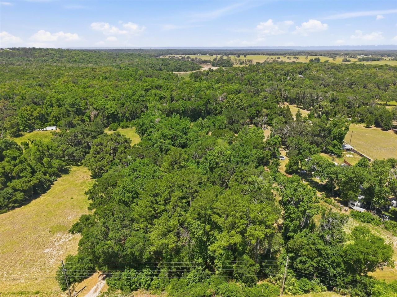 16145 Snow Memorial Highway, Brooksville, FL 34601 Photo