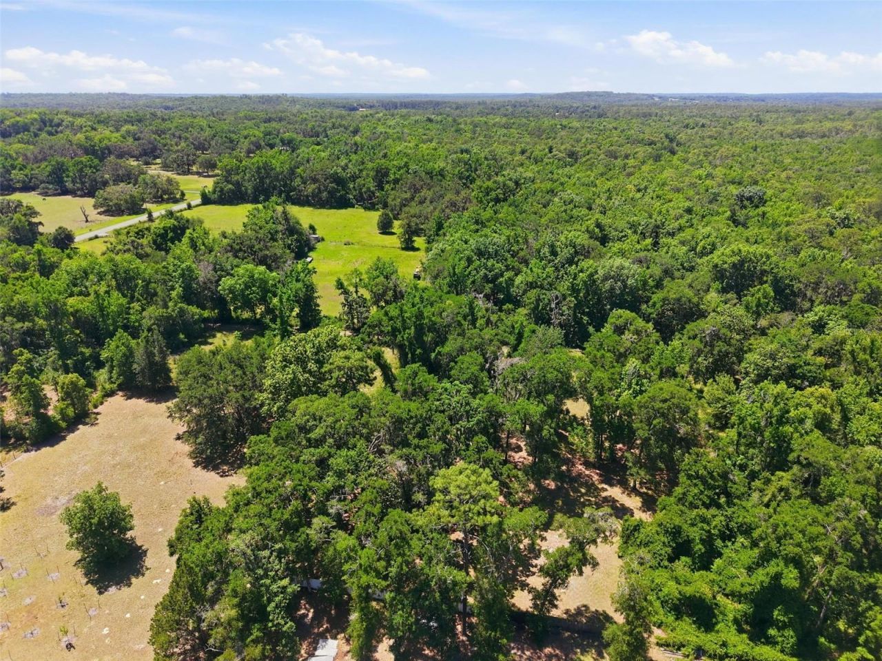 16145 Snow Memorial Highway, Brooksville, FL 34601 Photo