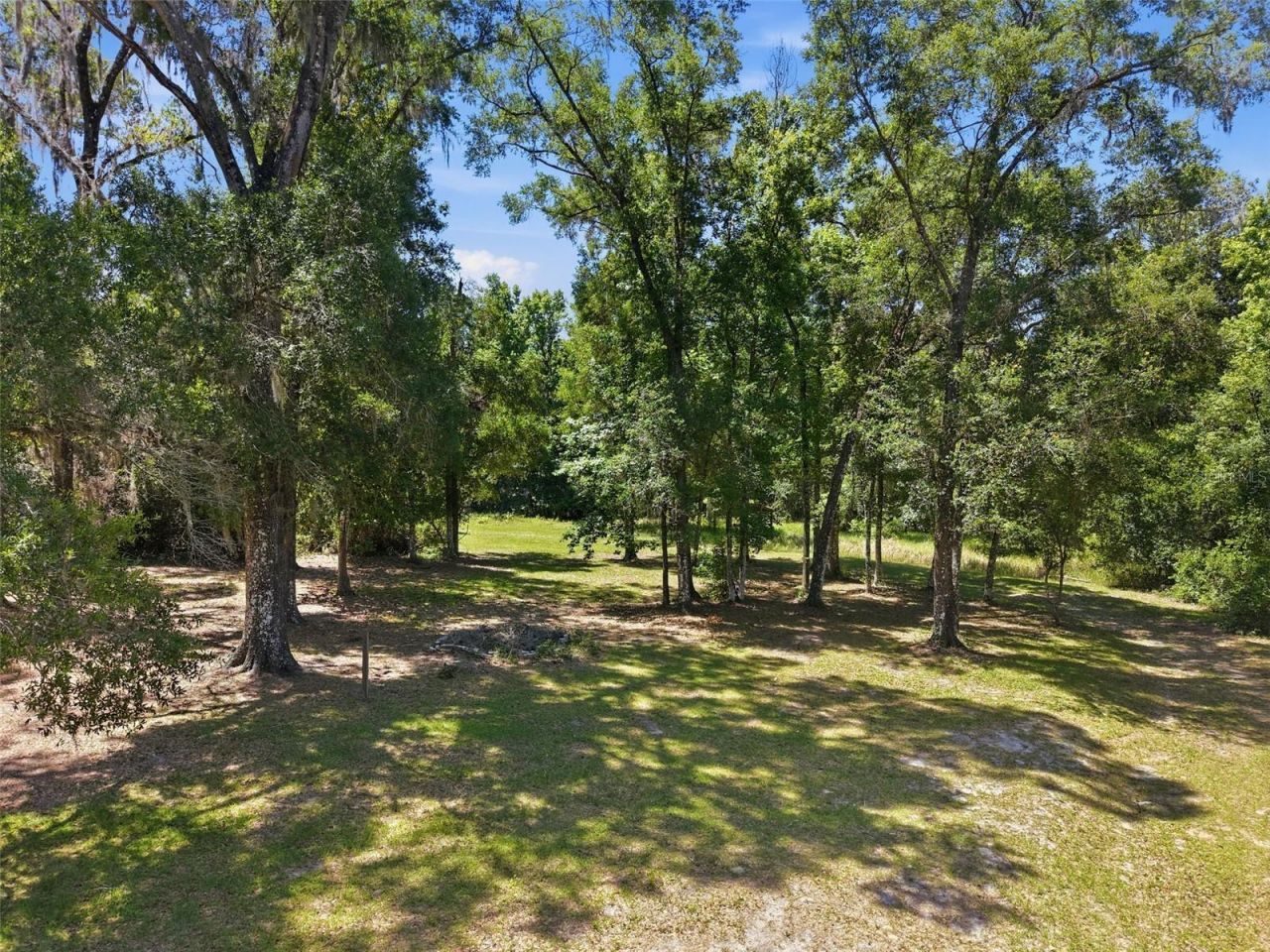 16145 Snow Memorial Highway, Brooksville, FL 34601 Photo