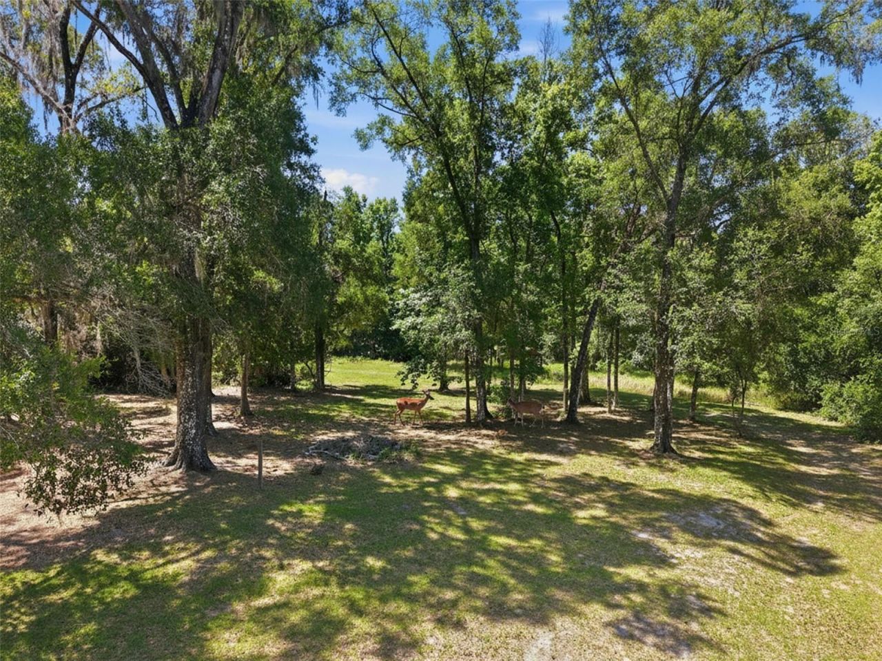 16145 Snow Memorial Highway, Brooksville, FL 34601 Photo