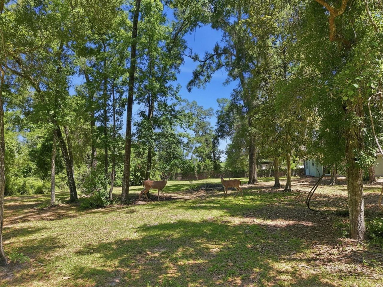 16145 Snow Memorial Highway, Brooksville, FL 34601 Photo