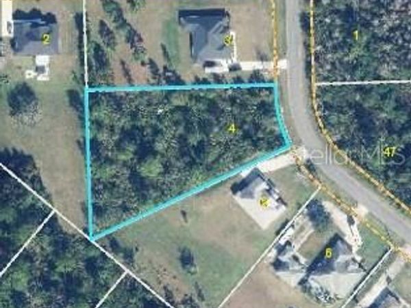 18118 ROBERTSON STREET , ORLANDO, FL 32833