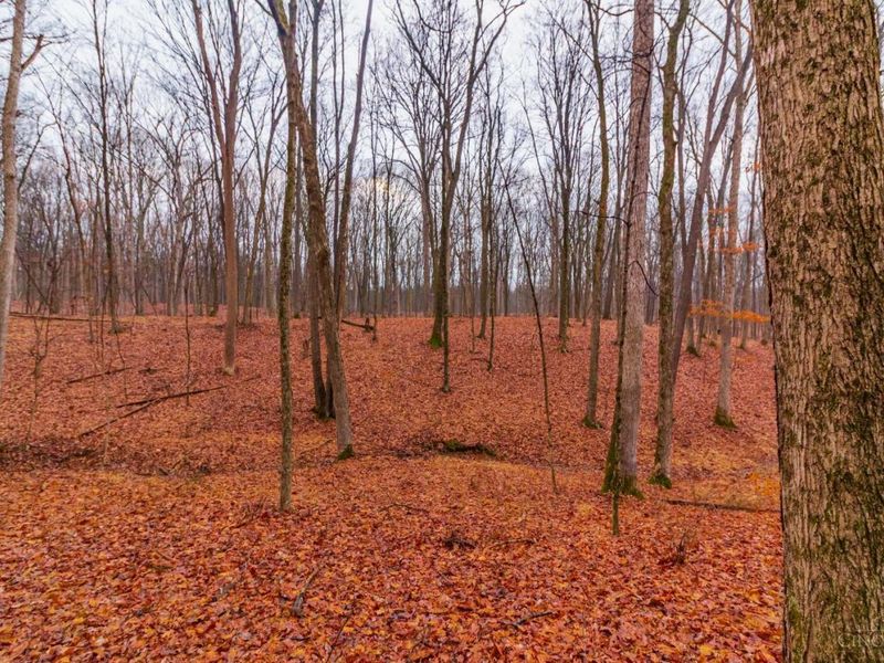 Rear Greenbrier Road, Seaman, OH 45679 Photo 23