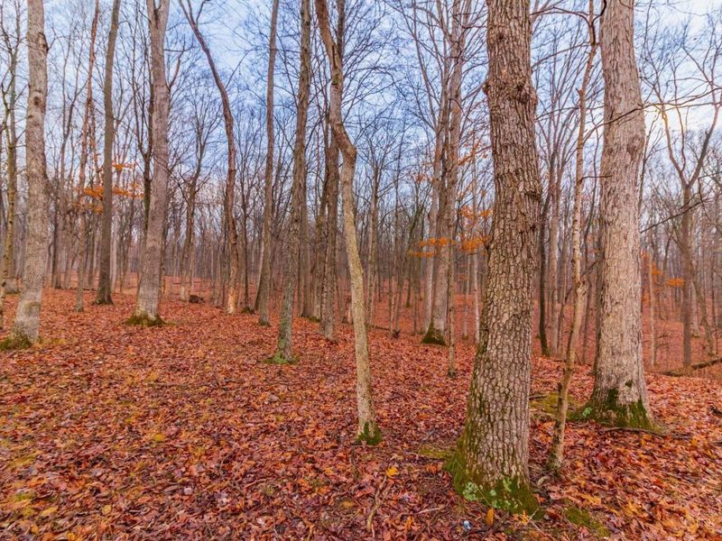 Rear Greenbrier Road, Seaman, OH 45679 Photo 26