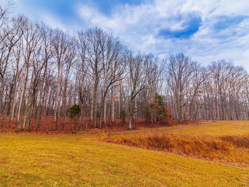 Rear Greenbrier Road, Seaman, OH 45679 Photo 27