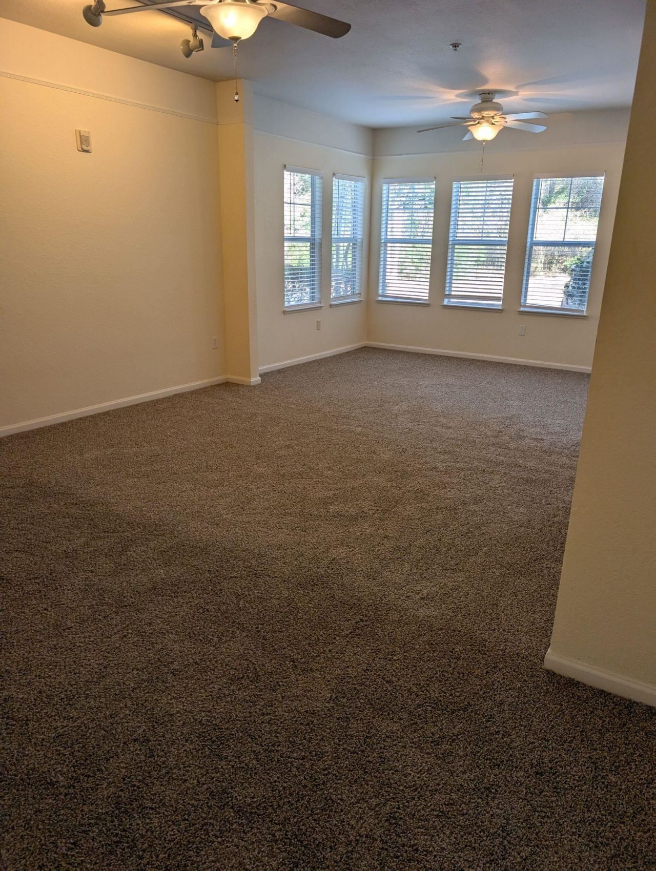 2801 Chancellorsville Drive, Unit 1117, Tallahassee, FL 32312 Photo
