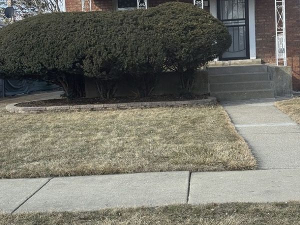 236 Bohland Avenue , Bellwood, IL 60104