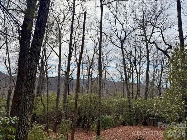 TBD Laurel Thicket Lane , Brevard, NC 28712