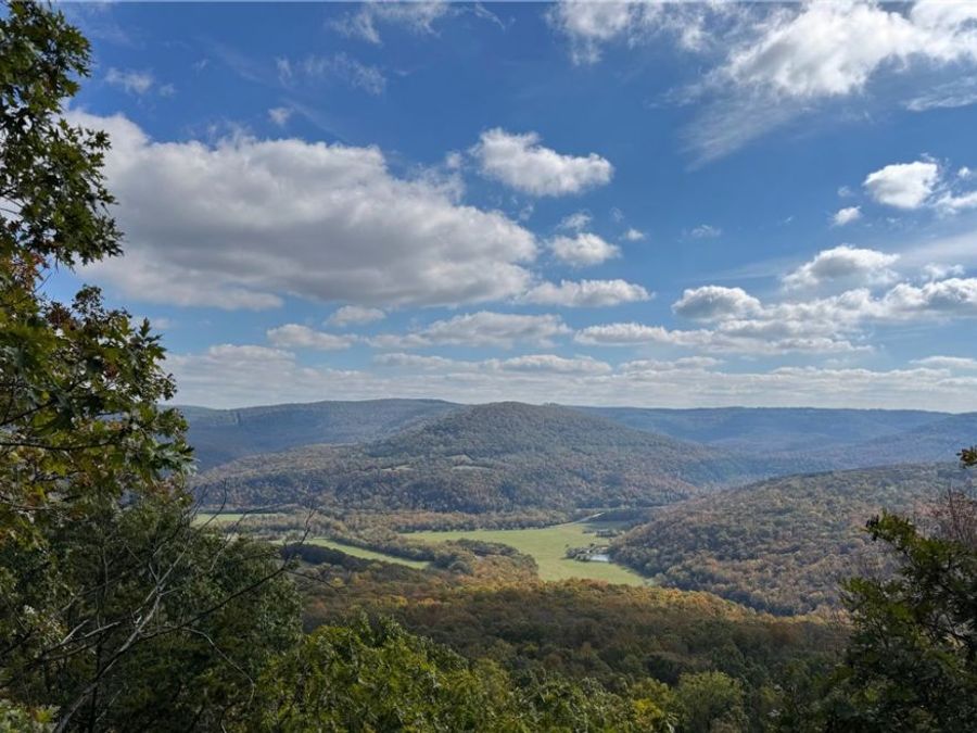 Property Image 8